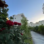 Red Rose בית הארחה 3*